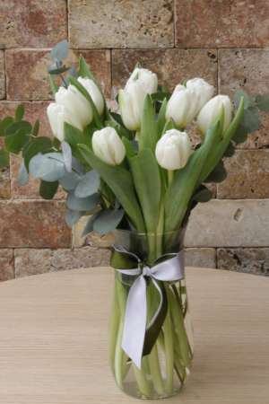 Tulip Series 5