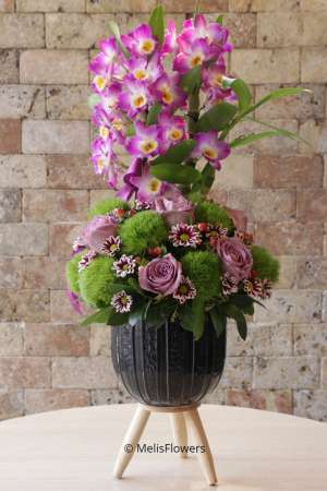 Dendrobium Kokulu Orkide 2