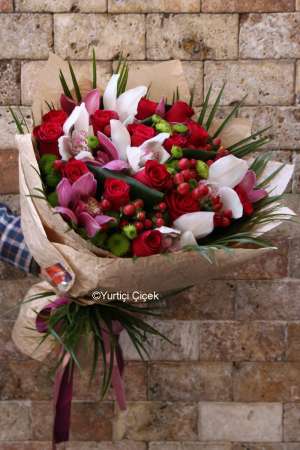 Cymbidium Serisi 3