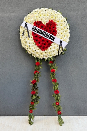 Kalp Pano Çiçeği 3