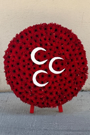 Mozole Çiçek 3